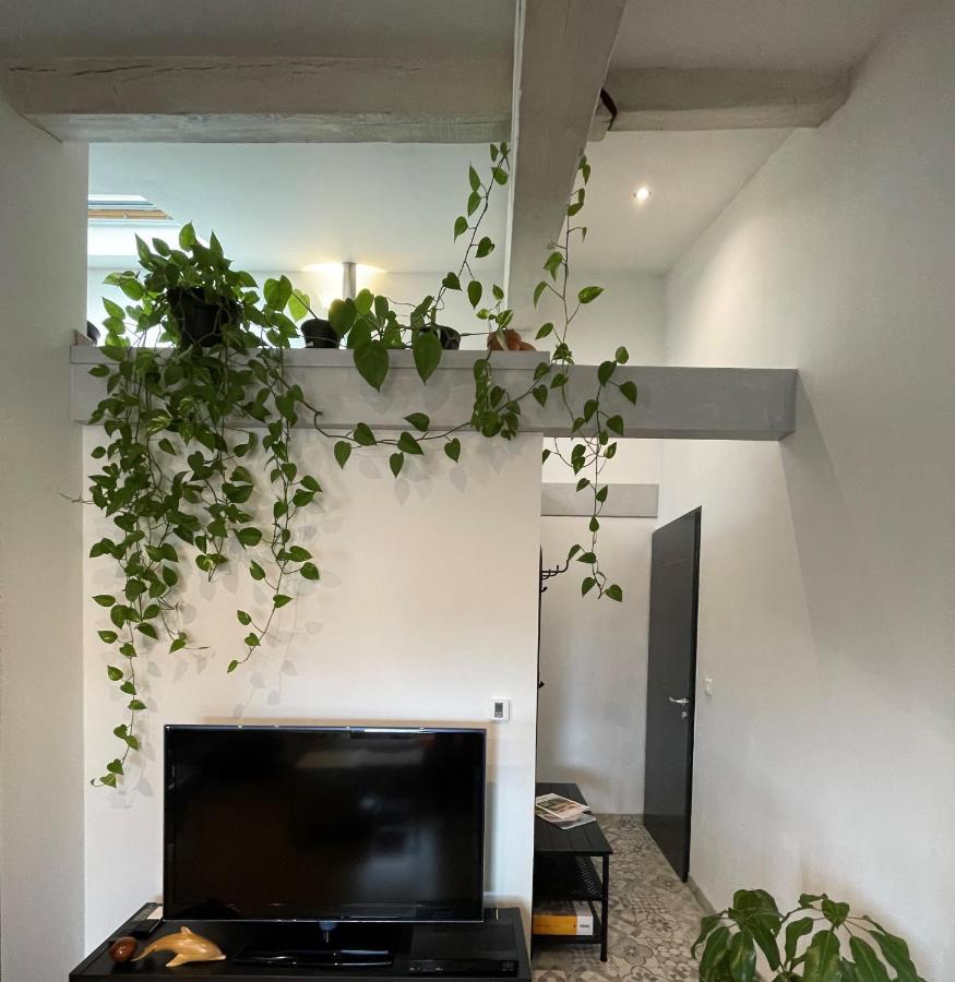 Apartment T2 De 40 M2 - Facile D'acces, Lumineux Et Au Calme